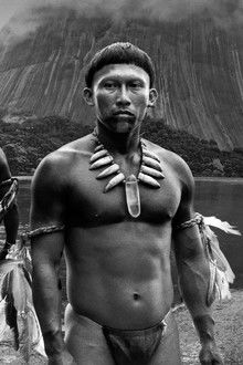 Der-Schamane-und-die-Schlange