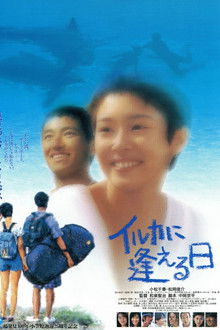 イルカに逢える日