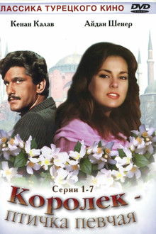 Королек - птичка певчая