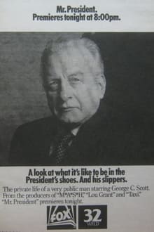 Poster da série Mr. President