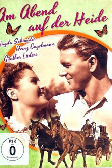 Am Abend auf der Heide