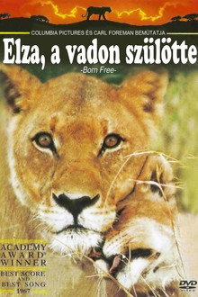 Elza, a vadon szülötte