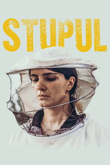 Stupul