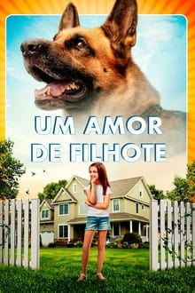 Poster do filme Um Amor de Filhote