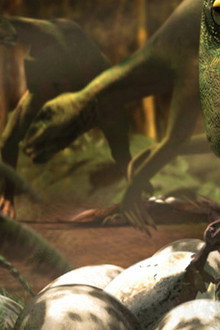 Lost Dinosaurs of New Zealand