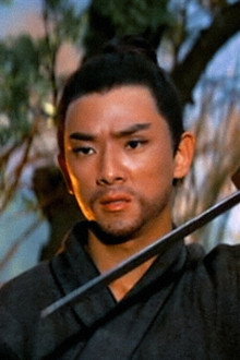 Return of the One-Armed Swordsman
