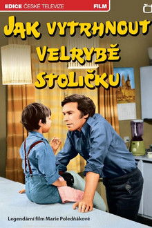 Jak vytrhnout velrybě stoličku