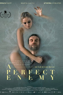 A Perfect Enemy
