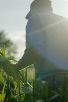Wasted! The Story of Food Waste