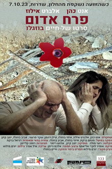 פרח אדום