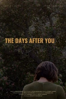 Poster do filme The Days After You