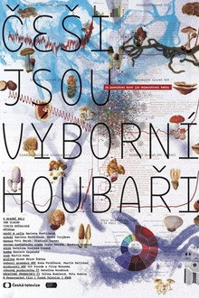 Češi jsou výborní houbaři