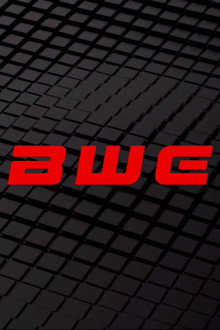 Boston Wrestling Entertainment