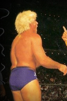 WCW Halloween Havoc 1994