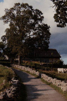 Äskhult - den eviga platsen
