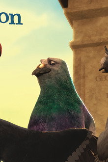 Curpigeon