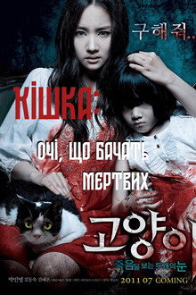 Кішка, що бачить мертвих