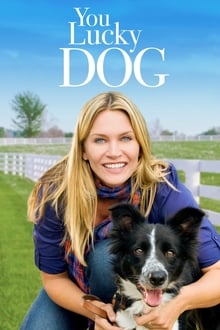Poster do filme You Lucky Dog