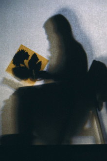Lourdes Castro Sombras