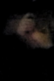 Lurker