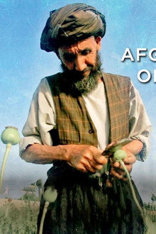 Afghanistan's Opium Trail