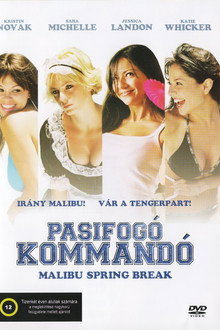Pasifogó kommandó