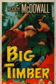 Big Timber