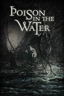 Poster do filme Poison in the Water