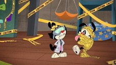 Épisode 23