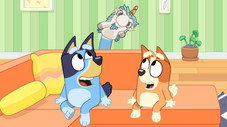 Épisode 7
