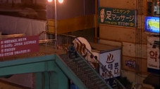 Épisode 17