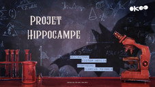 Projet hippocampe