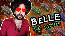 Épisode 11