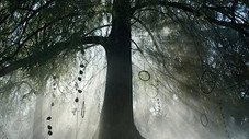 Épisode 8