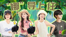 Épisode 11