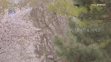 Épisode 7