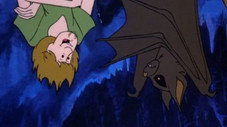 Scooby at the Center of the World