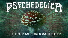 La théorie du champignon sacré