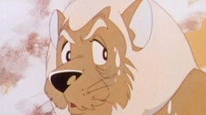 Le vieux lion
