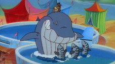 Bas de laine contre une baleine