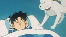 Au boulot, Lassie