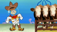Rodeo Daze