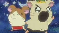 Hamtaro le Hamelien