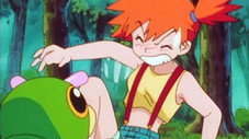 Capture du premier Pokémon