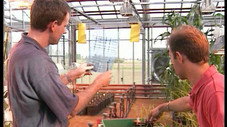 Pesticides : attention danger