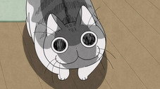 Épisode 15