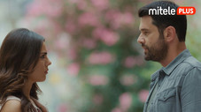 Épisode 22