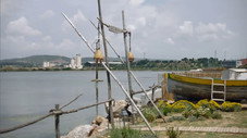 Épisode 325
