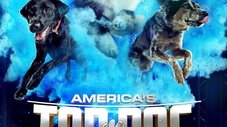Episode Thumbnail