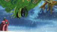 Un insecte super puissant